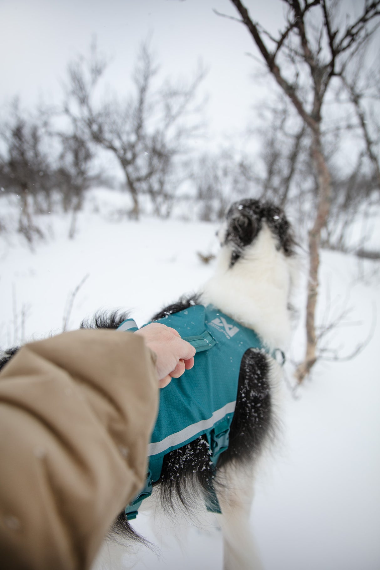 Arnés Ajustable Anti escape para Perro Ramble Harness Long Non-stop Dogwear