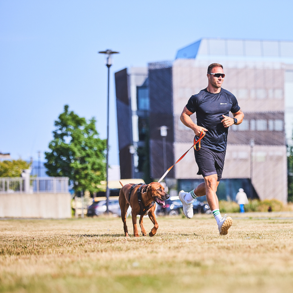 Correa para Perro Reflectante Move Leash Non-stop Dogwear