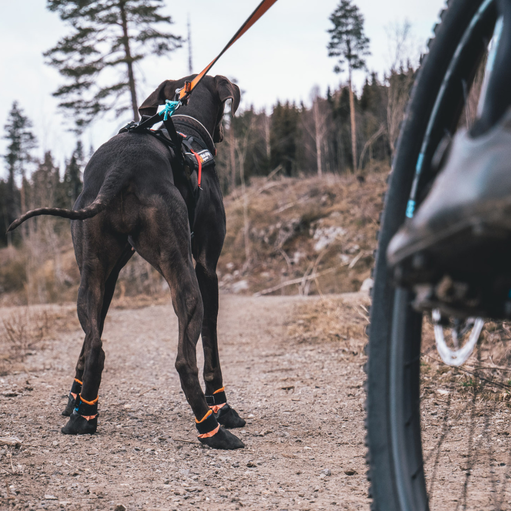 Botines Trekking Resistente Protector Bootie Non-Stop Dogwear