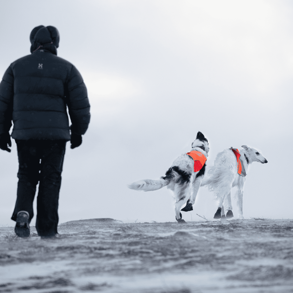 NON-STOP DOGWEAR SOLID SOCKS