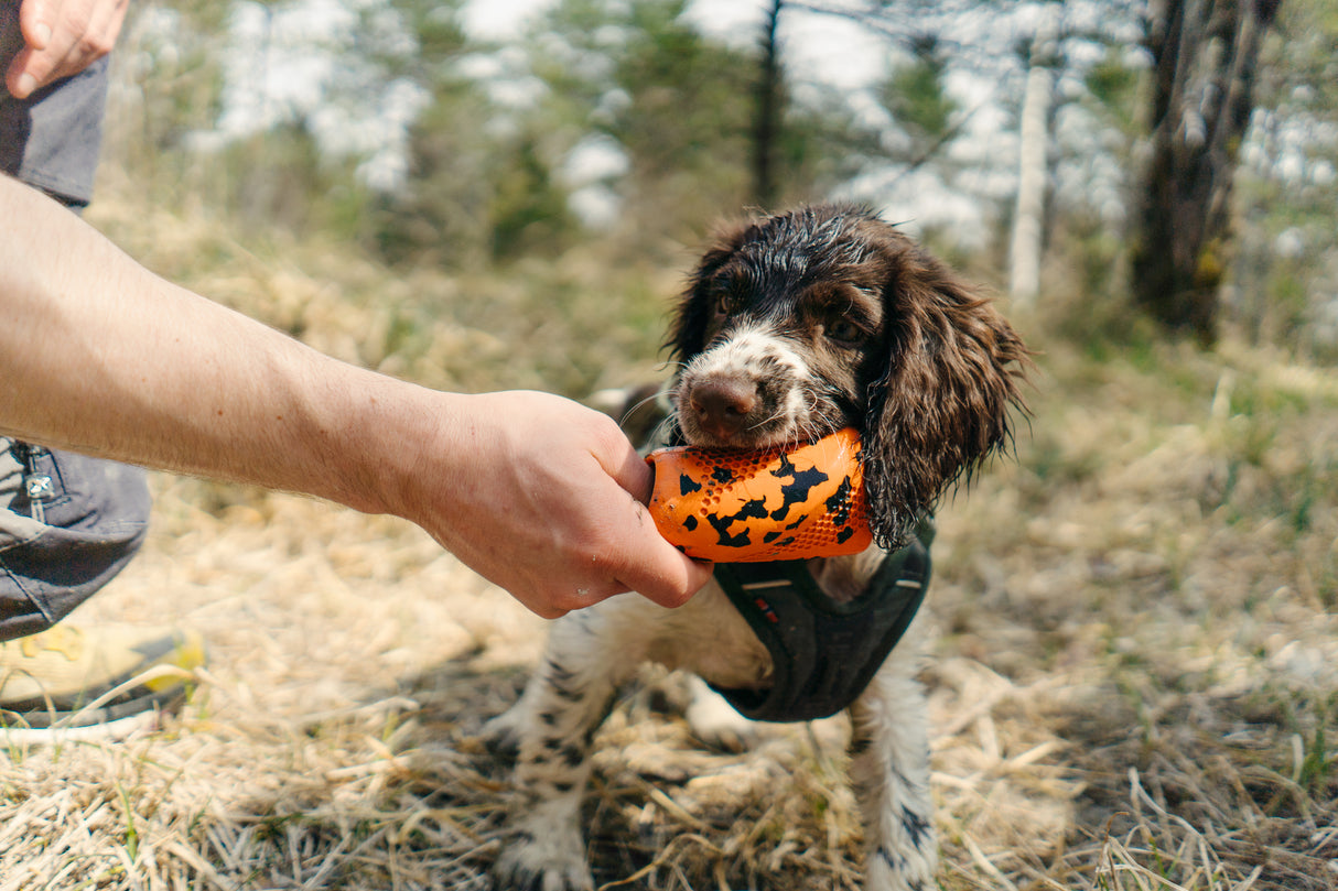 Juguete Lanzamiento Dog Throw Toy Non-stop Dogwear