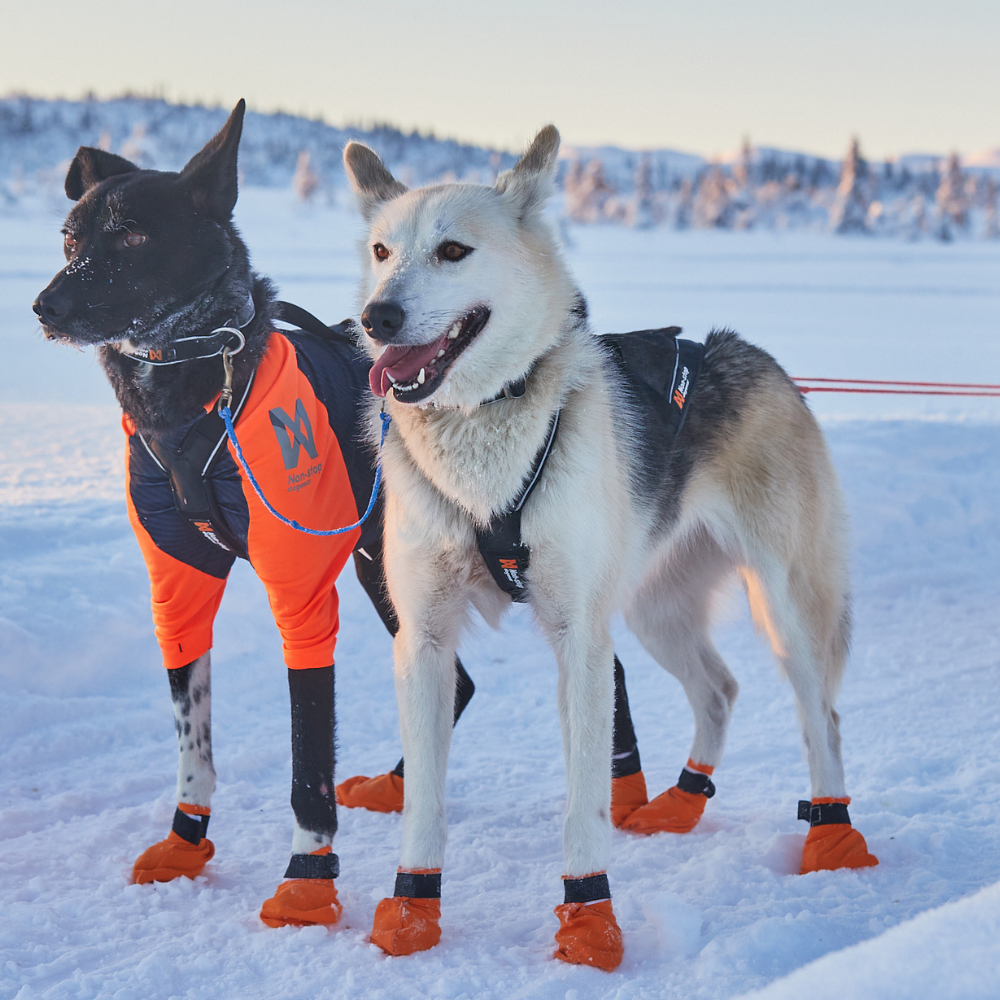 Arnés de Tiro para Perro Nansen Nome Harness Non-stop Dogwear
