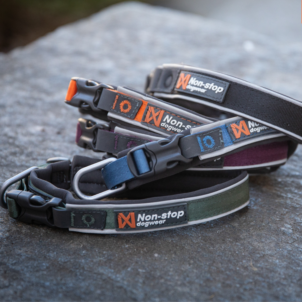 NON-STOP DOGWEAR ROAM COLLAR
