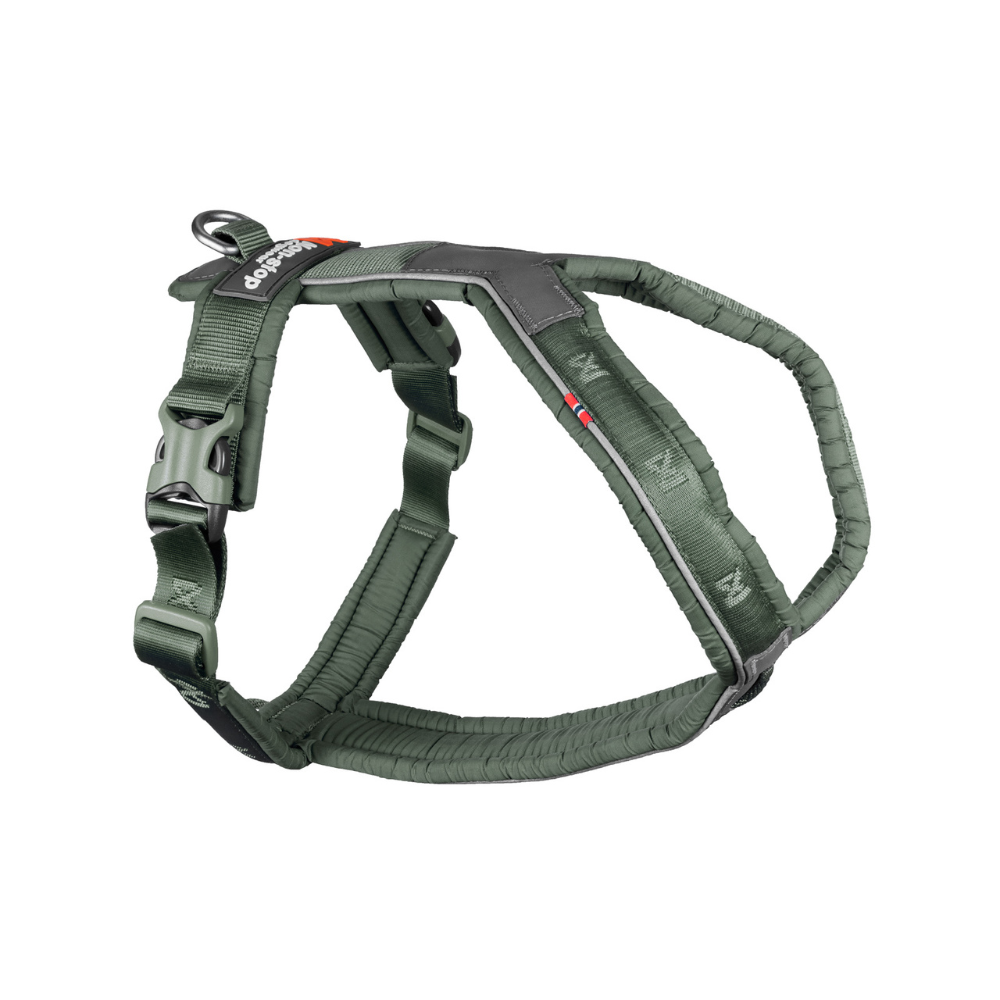 NON-STOP DOGWEAR LINE HARNESS 5.0