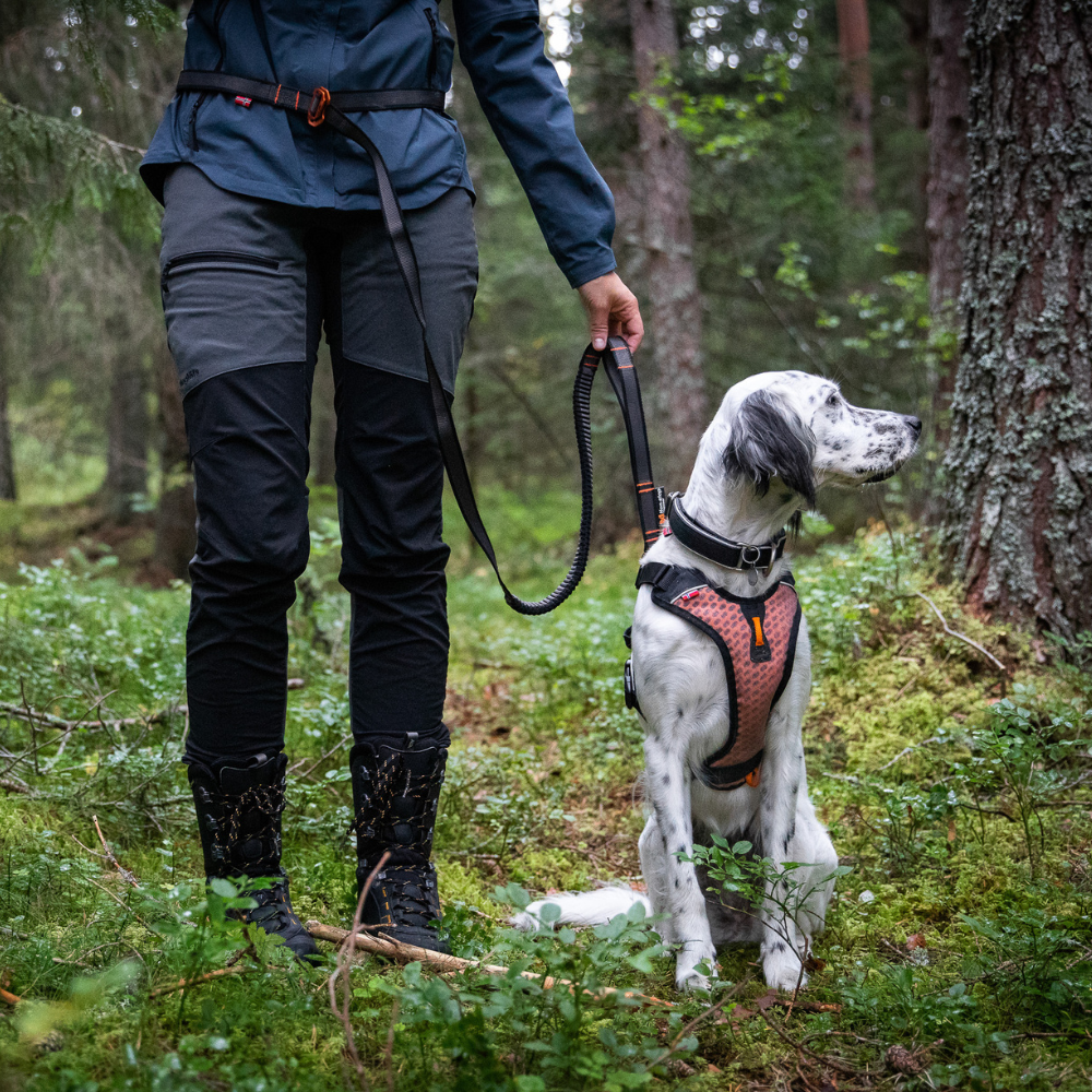 Correa Elástica Ajustable para Perro Touring Bungee Adjustable Non-stop Dogwear