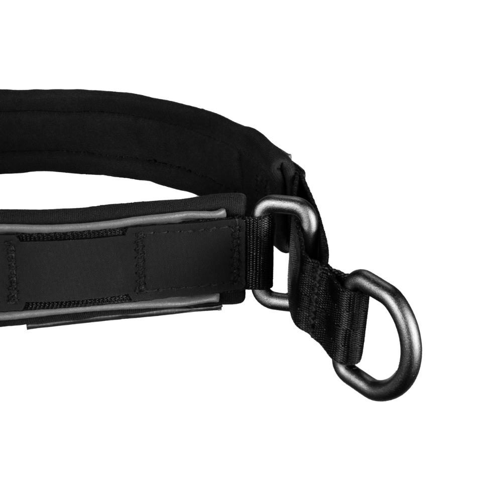 Collar Acolchado para Perro Cruise Collar Non-stop Dogwear