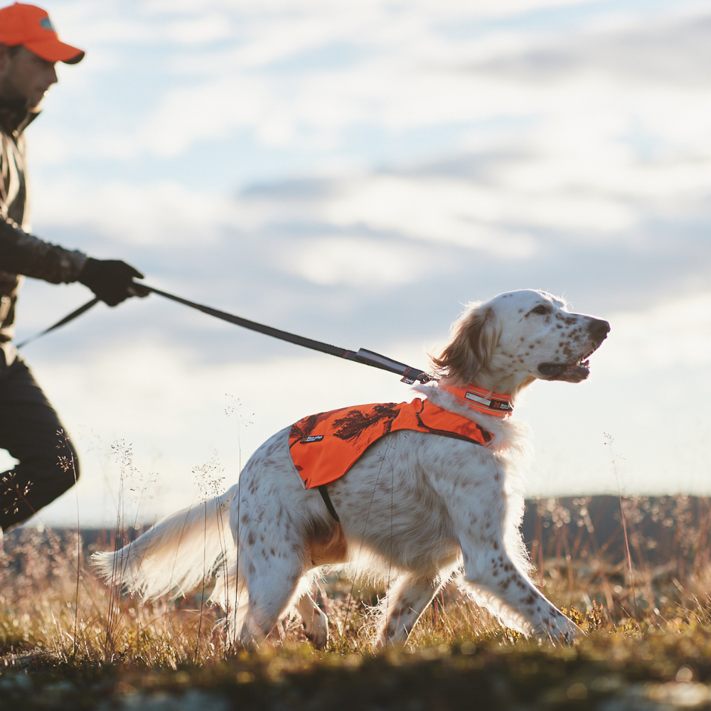 Correa Elástica Ajustable para Perro Touring Bungee Adjustable Non-stop Dogwear