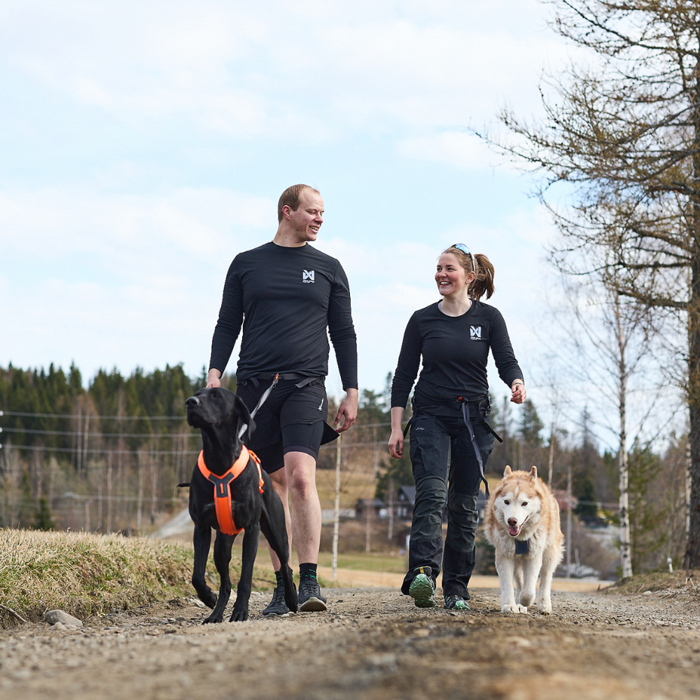 NON-STOP DOGWEAR LINE HARNESS 5.0
