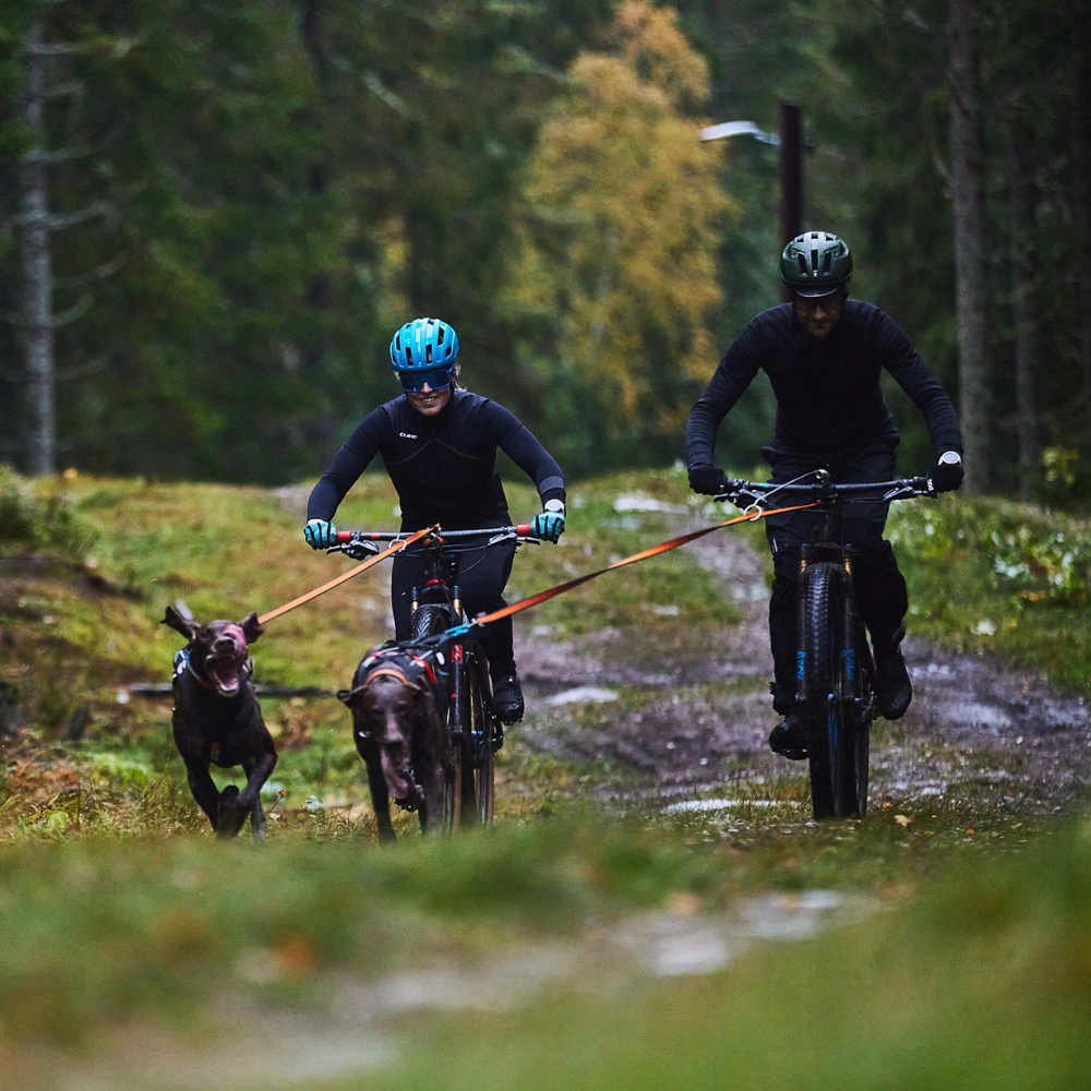 Antena Guia para Bicicleta y Perro Bike Antenna Non-stop Dogwear