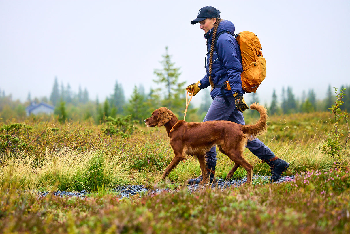 Correa - Collar todo en uno Retriever Leash Non-stop Dogwear