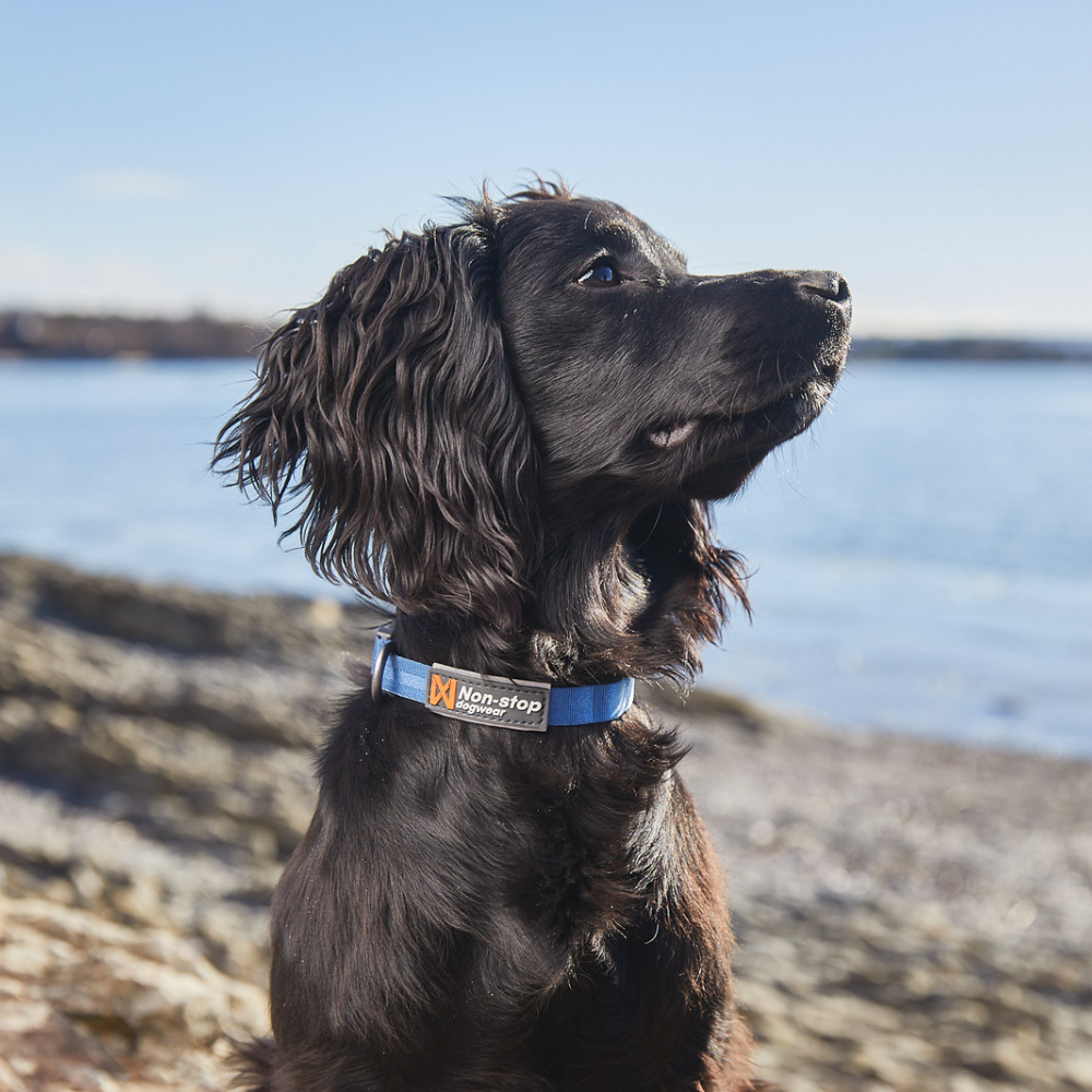 Collar Ligero para Perro Tumble Collar Non-stop Dogwear