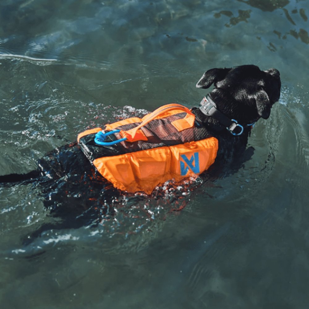 Salvavidas Premium para Perro Protector Life Jacket Non-stop Dogwear