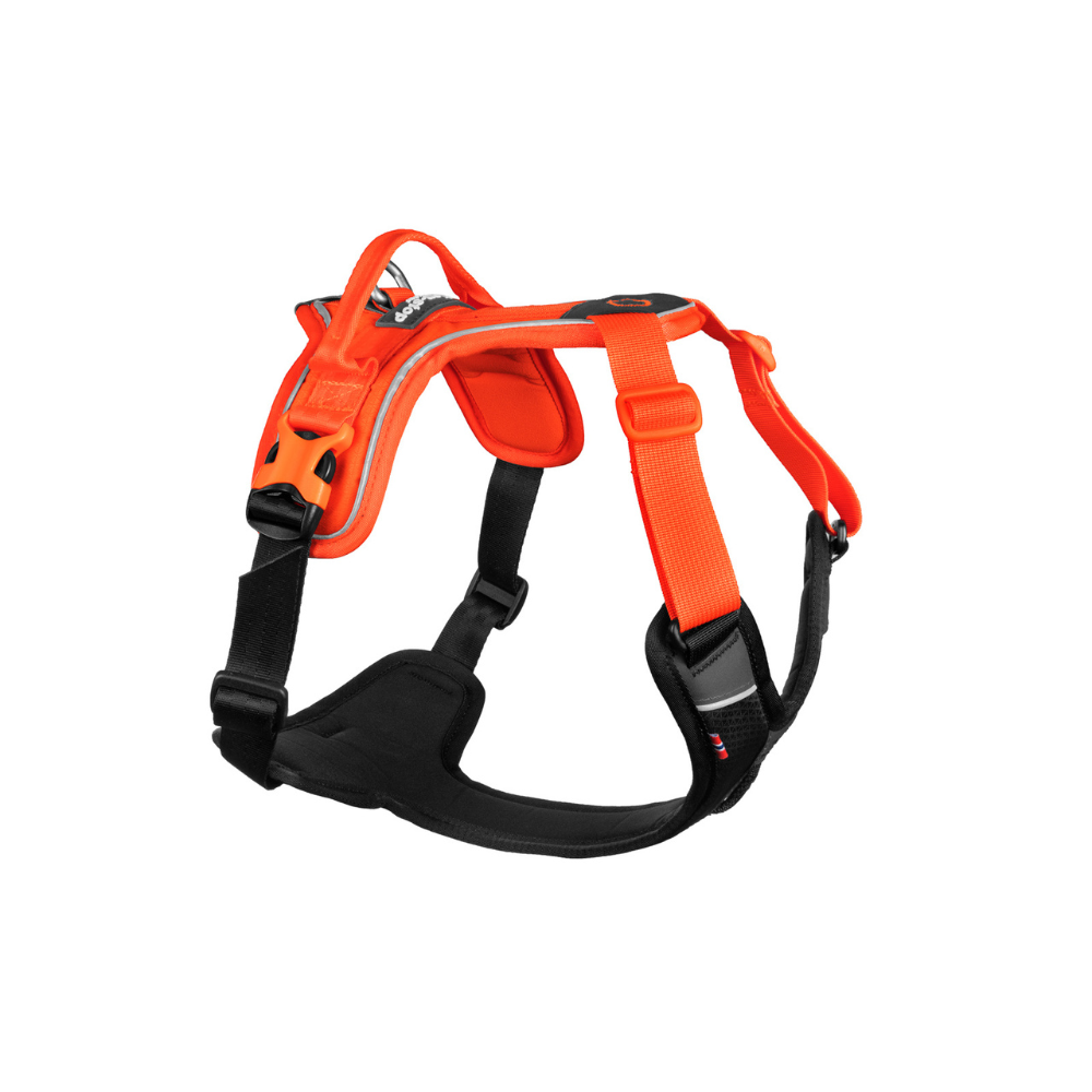 Arnés Ajustable para Perro Ramble Harness Non-stop Dogwear