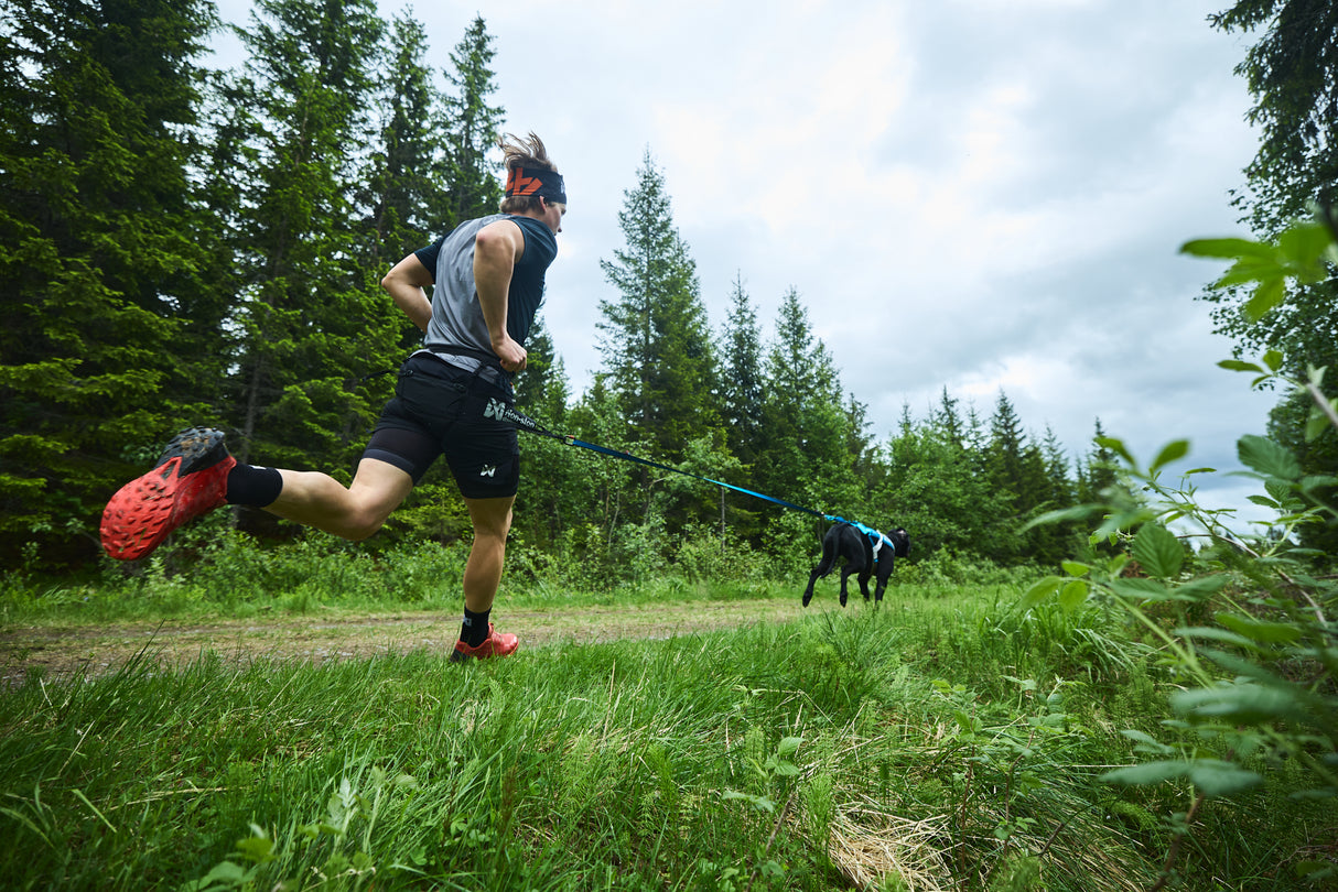 Cinturón Para Correr Con Perro Profesional Canix Belt Pro Non-stop Dogwear