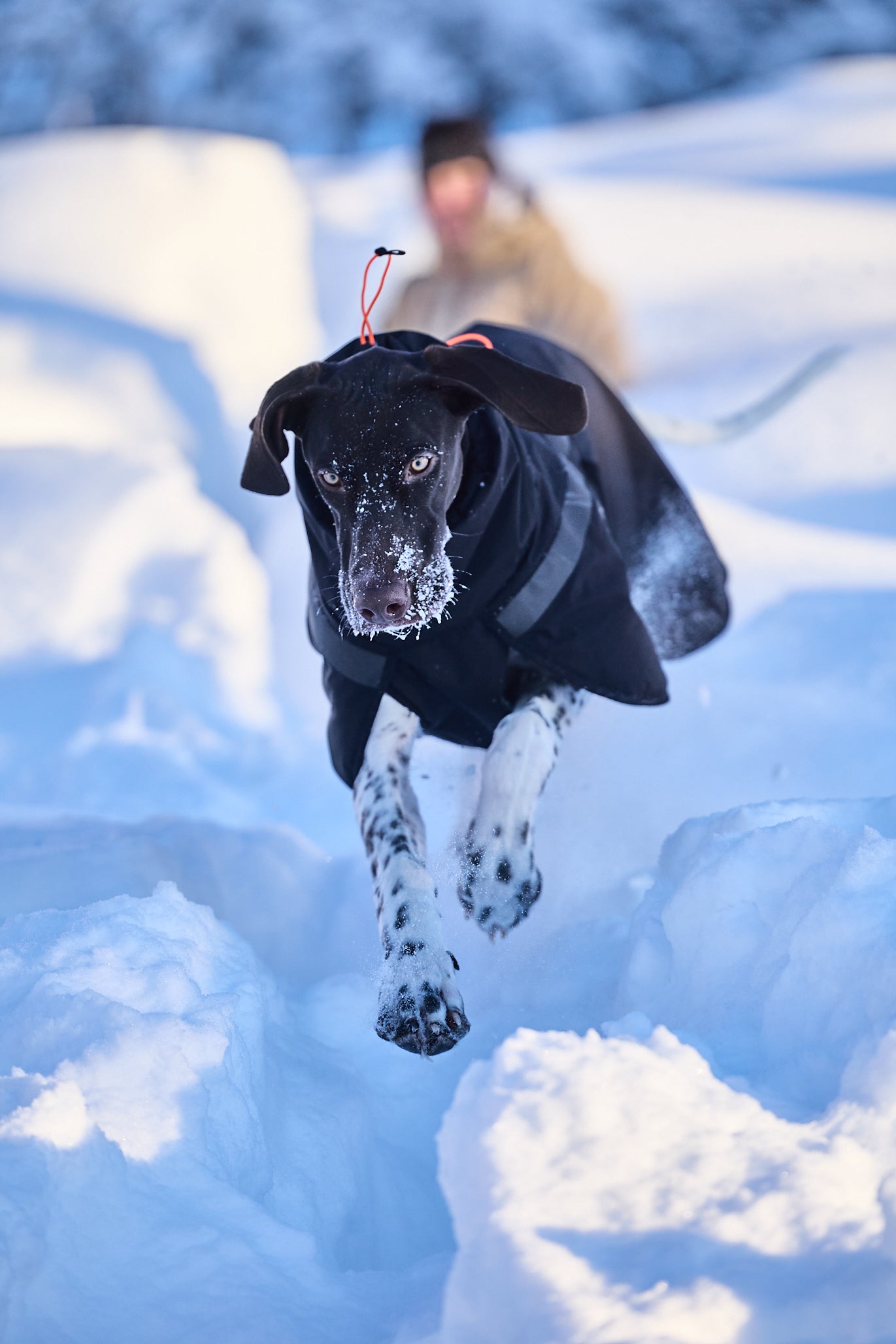 NON-STOP DOGWEAR TREKKING INSULATED DOG JACKET