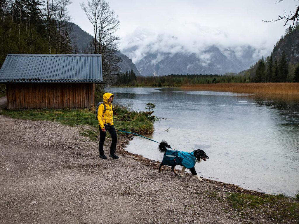 Chaqueta Impermeable Premium Perros Fjord 2.0 Non-stop Dogwear