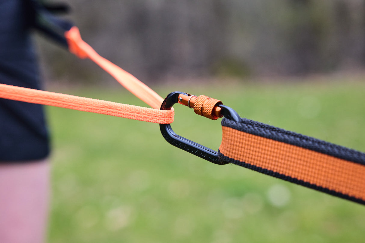 Cinturón Para Correr Con Perro Profesional Canix Belt Pro Non-stop Dogwear