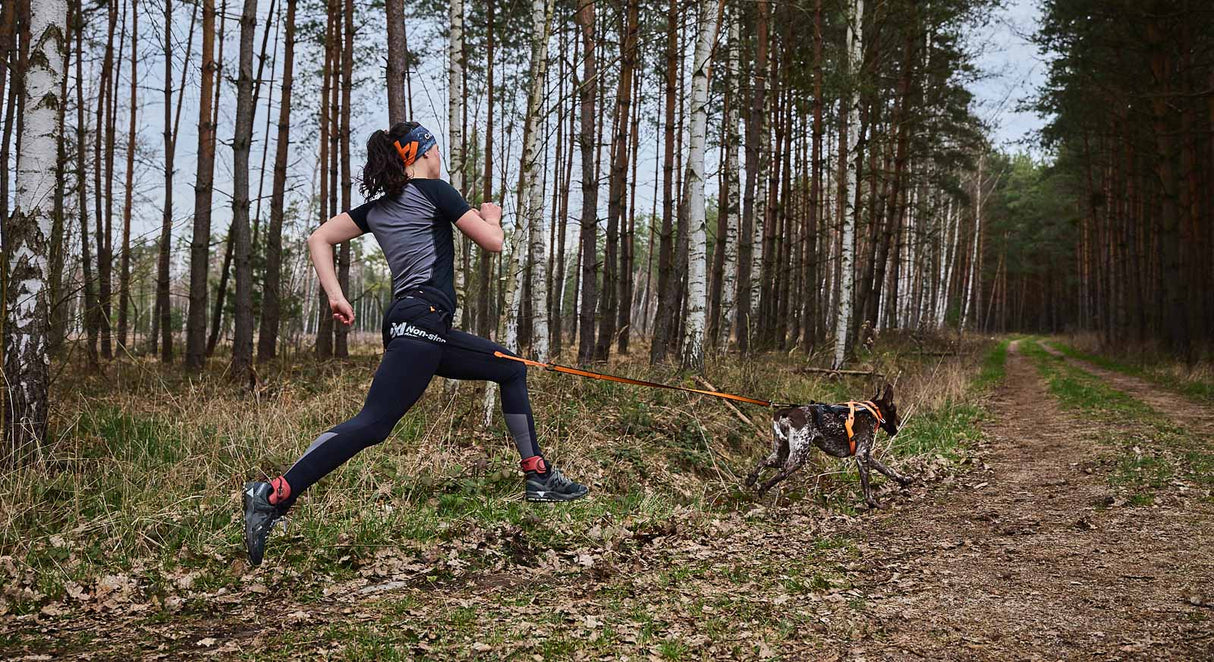 Cinturón Para Correr Con Perro Profesional Canix Belt Pro Non-stop Dogwear