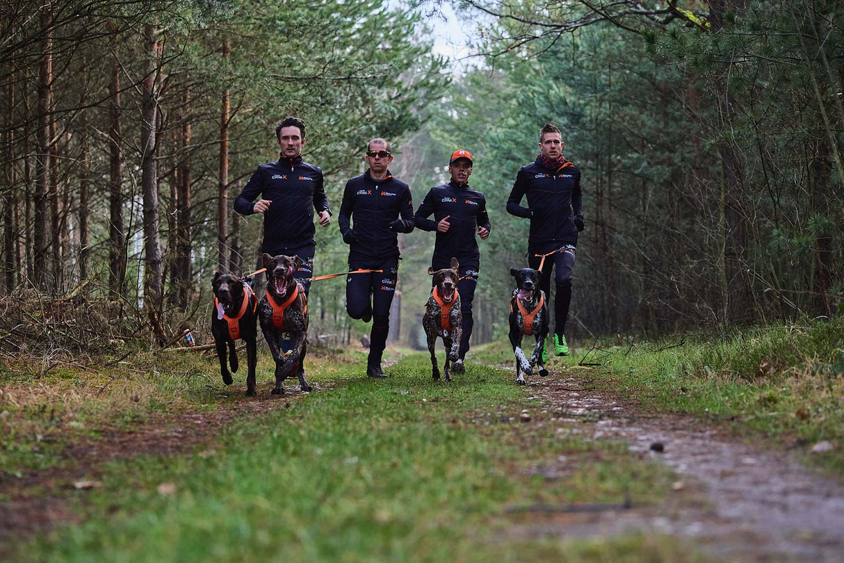 Cinturón Para Correr Con Perro Profesional Canix Belt Pro Non-stop Dogwear