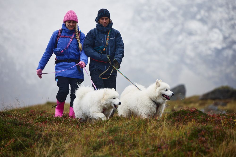 NON-STOP DOGWEAR CORREA 5.0 RACHEL POHL