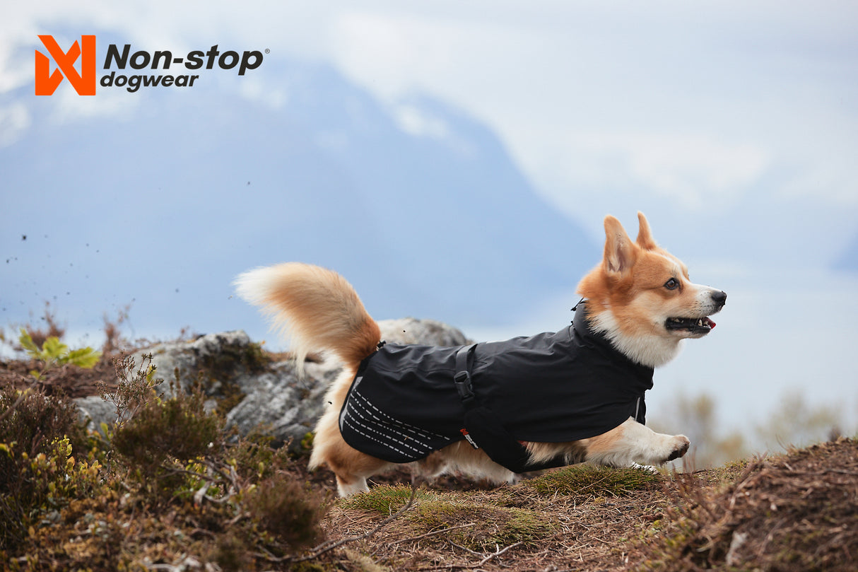 Impermeable para Perro Fjord Raincoiat Non-stop Dogwear