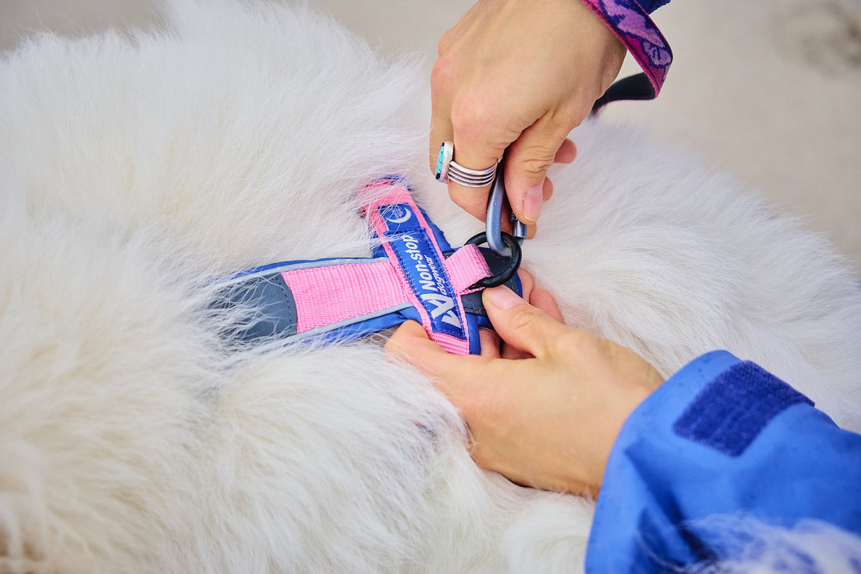 Arnés Deportivo para Perro Edición Rachel Pohl Harness Non-stop Dogwear