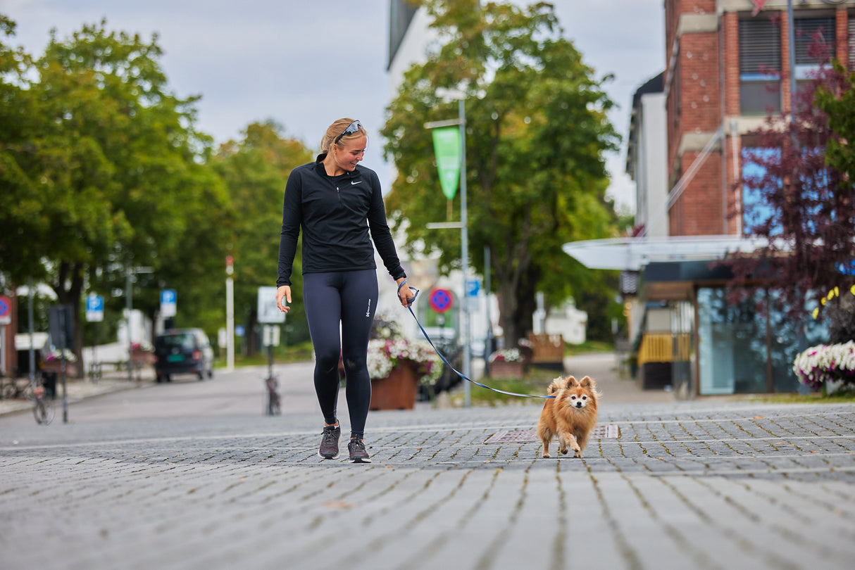 Correa para Perro Reflectante Move Leash Non-stop Dogwear