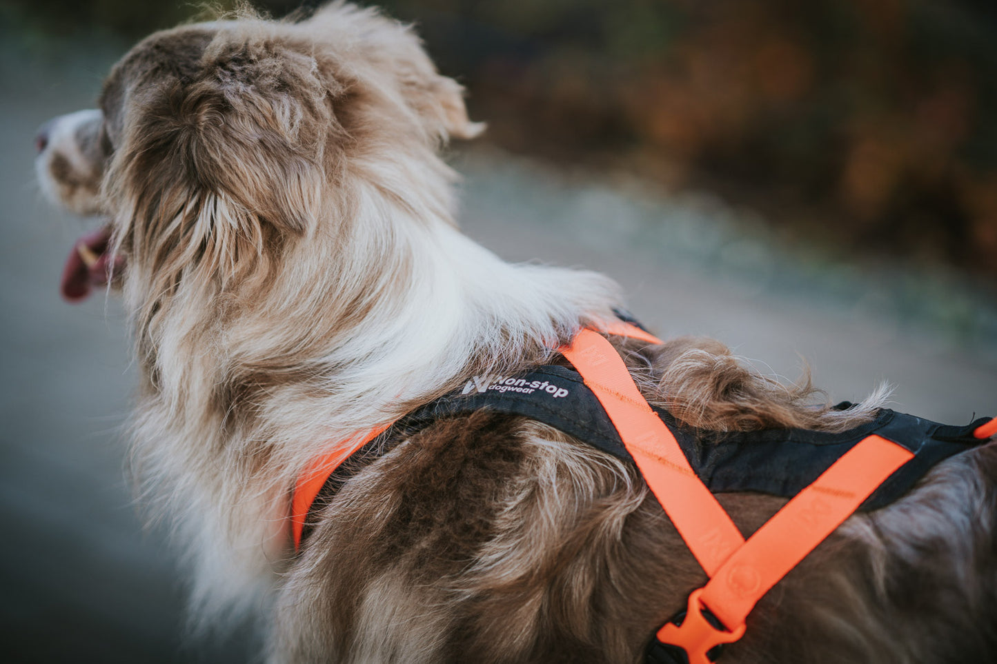 NON STOP DOGWEAR RUSH HARNESS