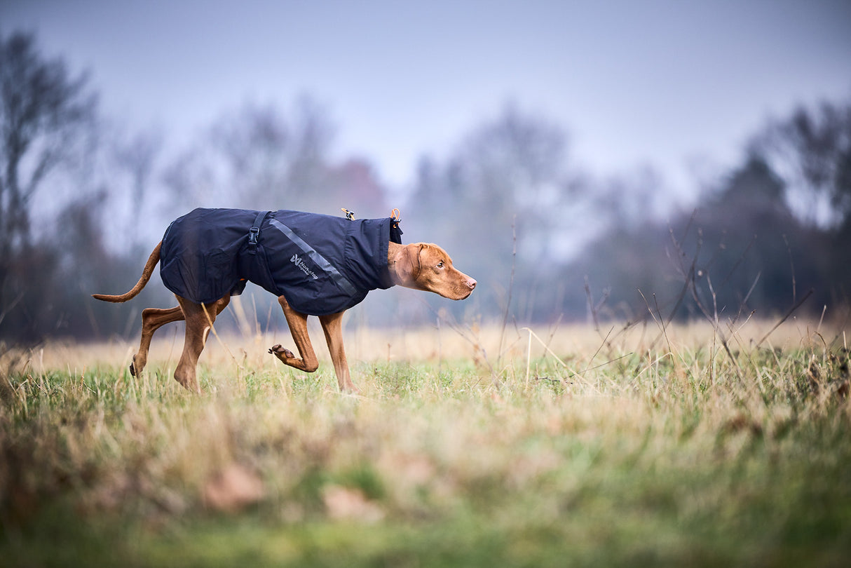 Chaqueta Impermeable para Perro Trekking Dog Raincoat Non-stop Dogwear