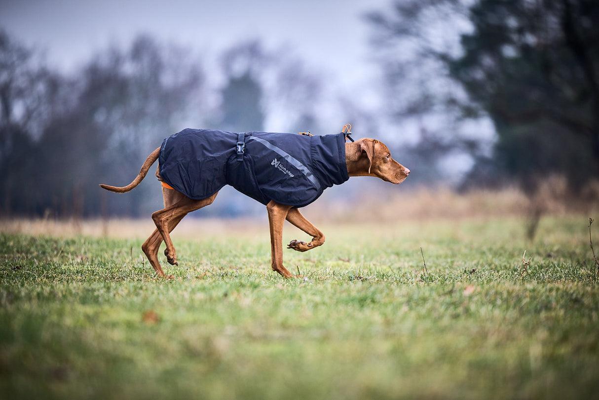 Chaqueta Impermeable para Perro Trekking Dog Raincoat Non-stop Dogwear