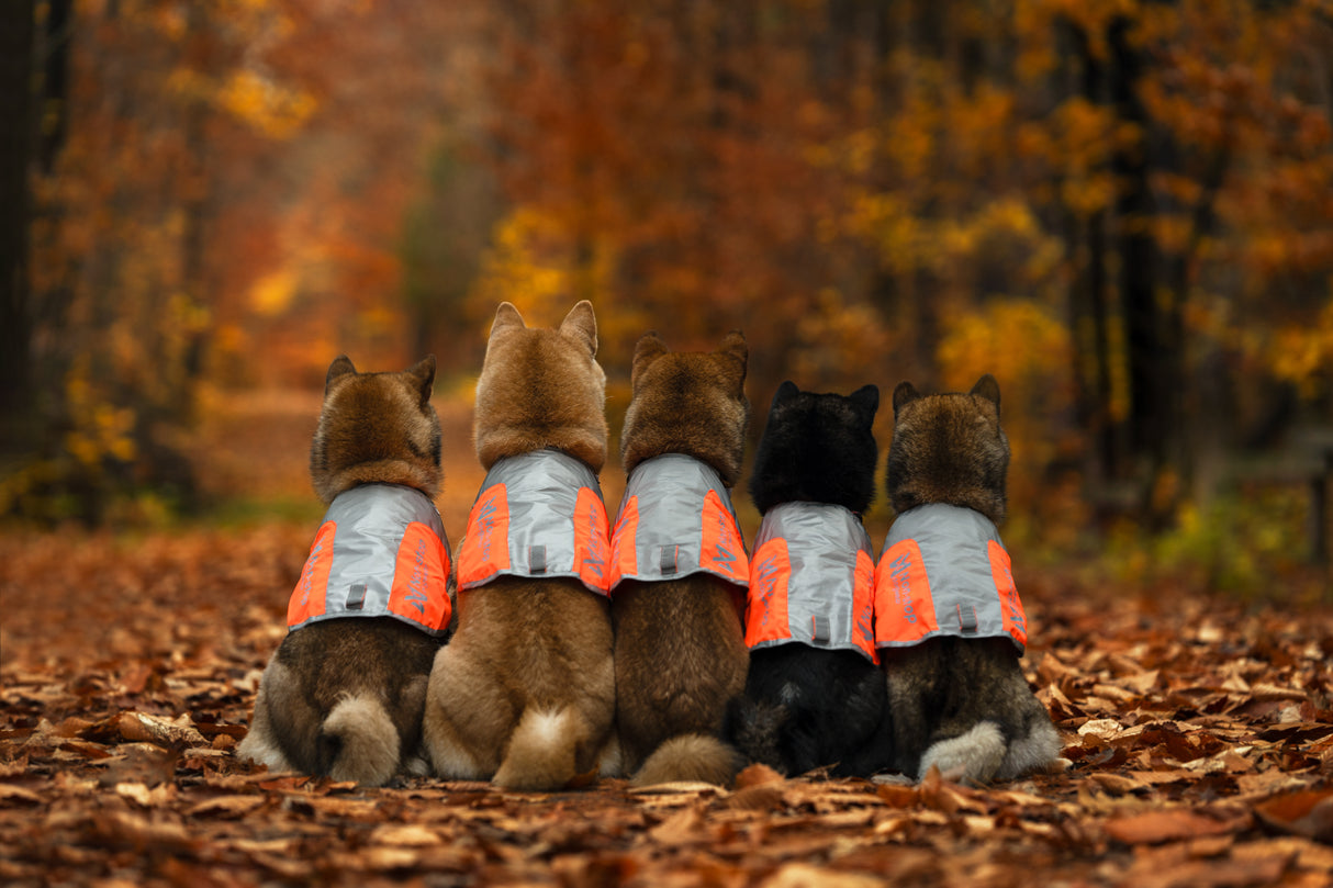 Chaqueta Reflectante Ligera Reflection Blancket Non-stop Dogwear