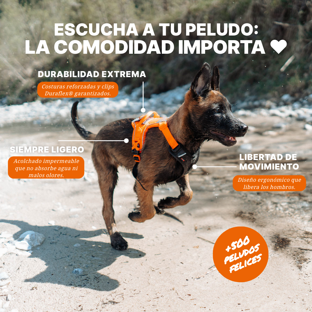Arnés Ajustable para Perro Ramble Harness Non-stop Dogwear