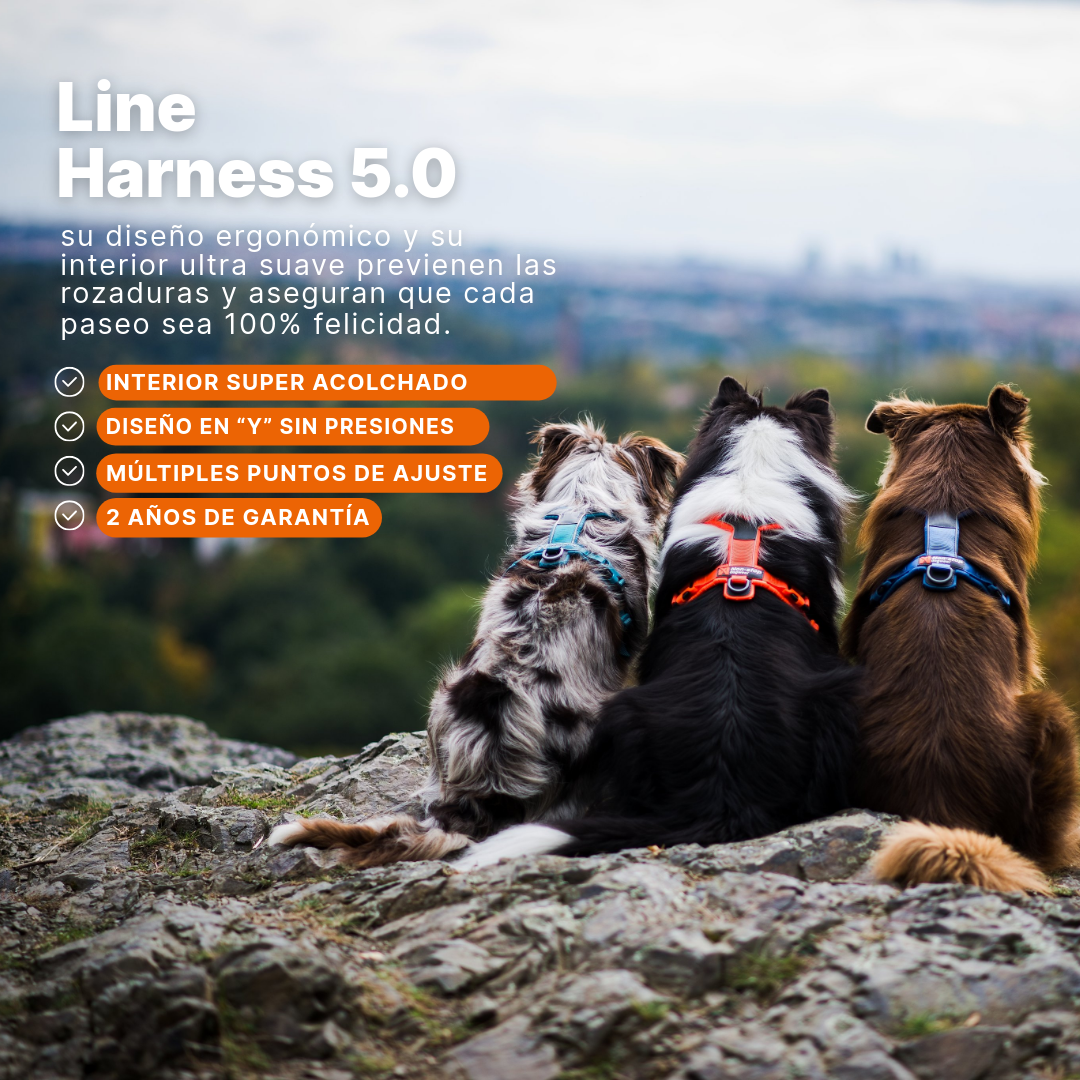 Arnés uso diario Premium para Perro Line 5.0 Harness Non-Stop Dogwear