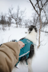 Arnés Ajustable Anti escape para Perro Ramble Harness Long Non-stop Dogwear