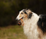 Juguete Pelota y Cuerda Dog Ball on Rope Non-stop Dogwear