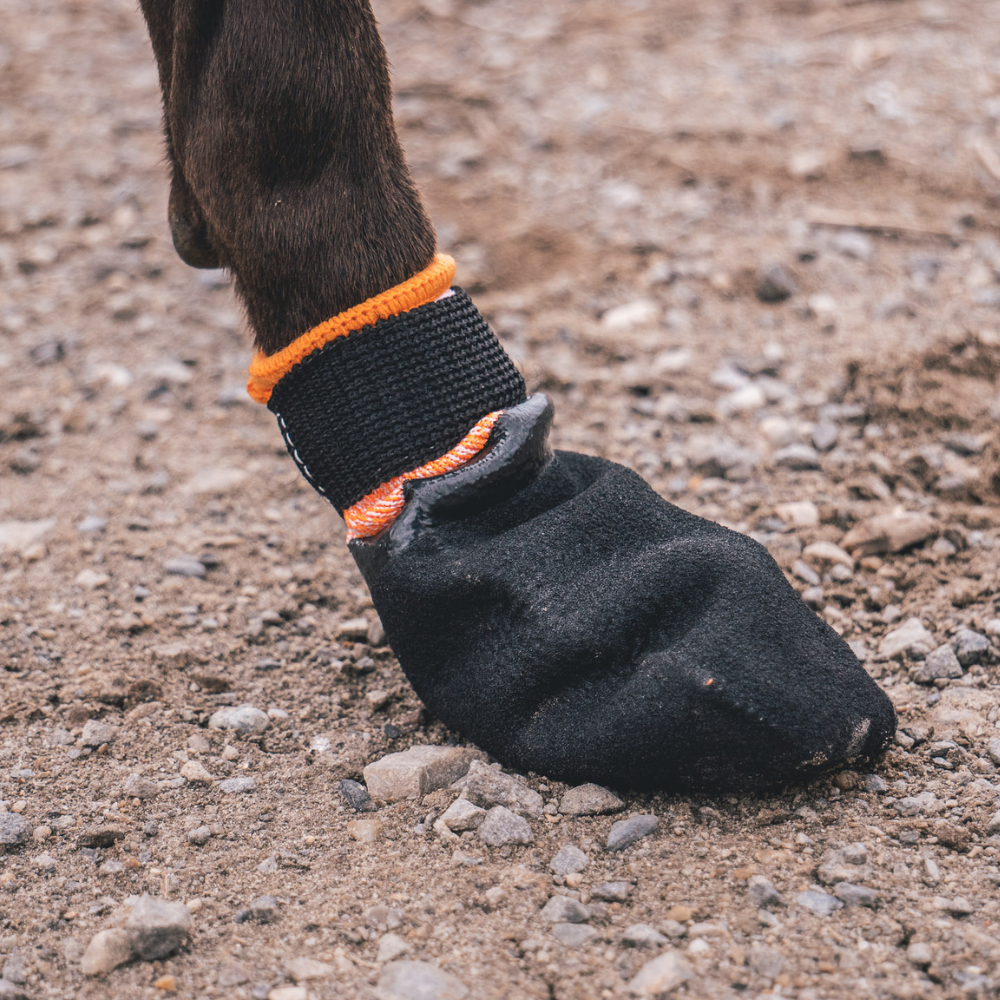 Botines Trekking Resistente Protector Bootie Non-Stop Dogwear