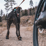 Botines Trekking Resistente Protector Bootie Non-Stop Dogwear