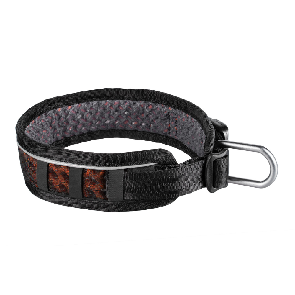 Collar Ajustable Resistente para Perro Rock Collar Non-stop Dogwear