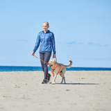 Correa para Perro Reflectante Move Leash Non-stop Dogwear