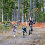 Correa Elástica Doble Bungee Leash Double para Dos Perros Non-stop Dogwear