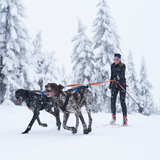 Correa Elástica Doble Bungee Leash Double para Dos Perros Non-stop Dogwear