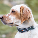 Collar Ajustable para Perro Roam Collar Non-stop Dogwear