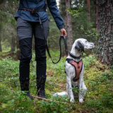 Correa Elástica Ajustable para Perro Touring Bungee Adjustable  Non-stop Dogwear