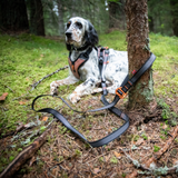 Correa Elástica Ajustable para Perro Touring Bungee Adjustable  Non-stop Dogwear