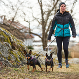 Arnés uso diario Premium para Perro Line 5.0 Harness Non-Stop Dogwear