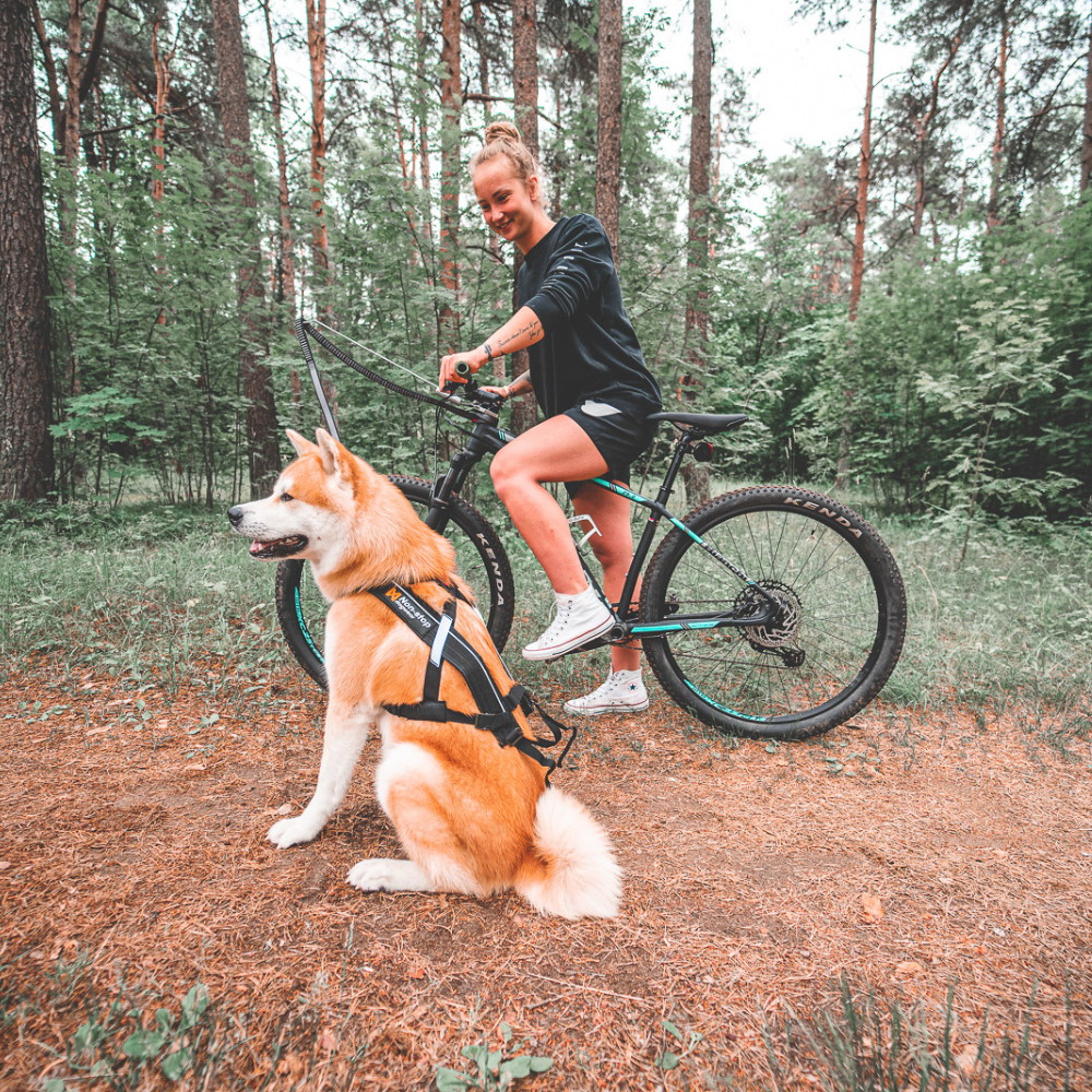 Antena Guia para Bicicleta y Perro Bike Antenna Non-stop Dogwear