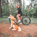 Antena Guia para Bicicleta y Perro Bike Antenna Non-stop Dogwear