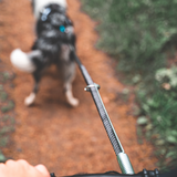 Antena Guia para Bicicleta y Perro Bike Antenna Non-stop Dogwear