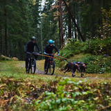 Antena Guia para Bicicleta y Perro Bike Antenna Non-stop Dogwear