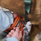 Correa de Entrenamiento Larga Friction Leash Non-stop Dogwear